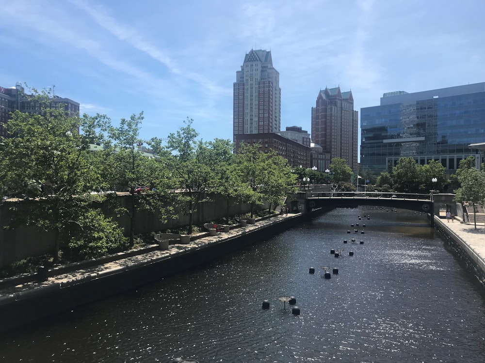 body of water near high-rise buildings