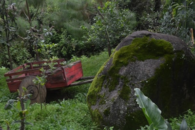 A rustic vintage wooden garden cart resting on a sunlit patch of grass.