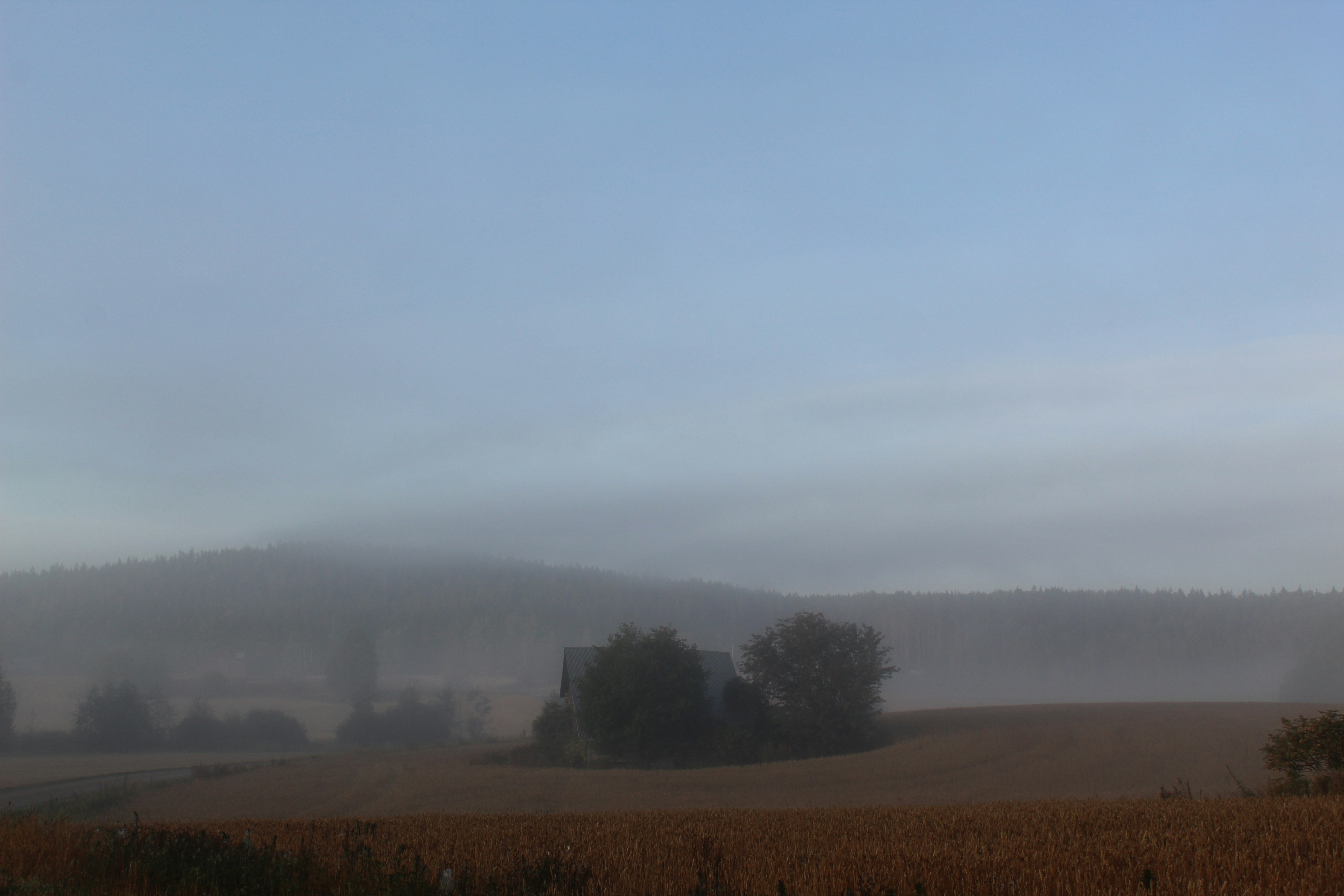 Photo by polarmermaid