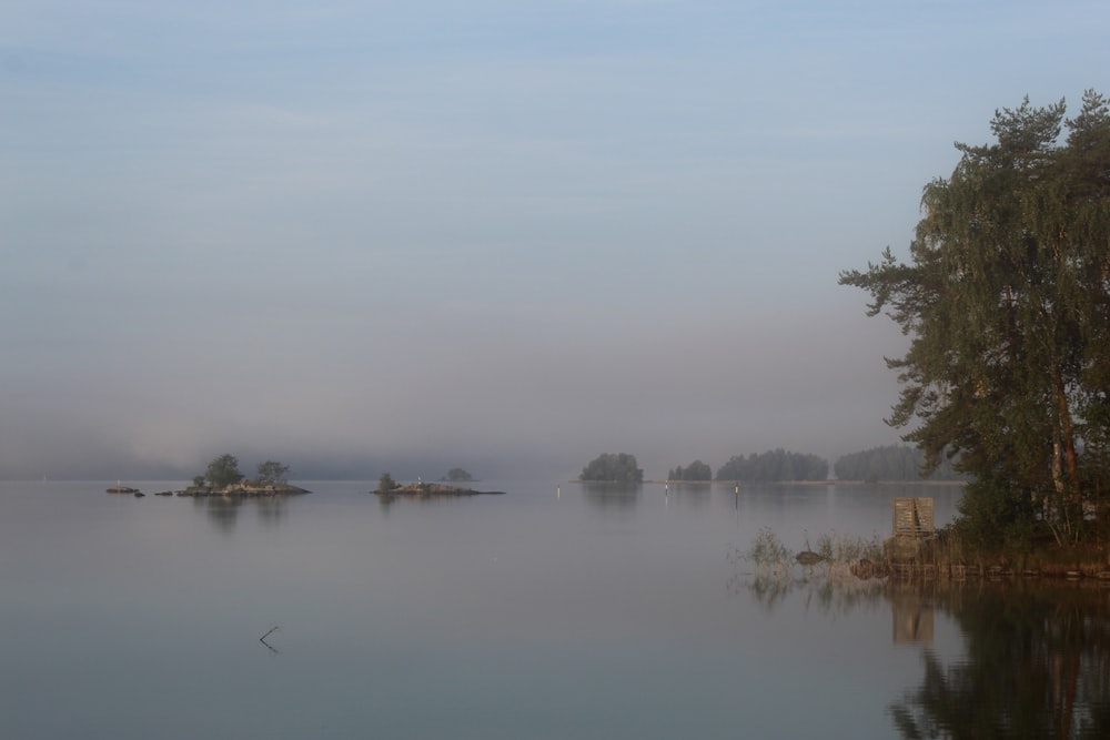 a body of water surrounded by trees on a foggy day