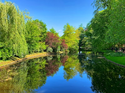 A peaceful scene of the Außenmühlenteich park with lush greenery and calm water reflecting the sky.