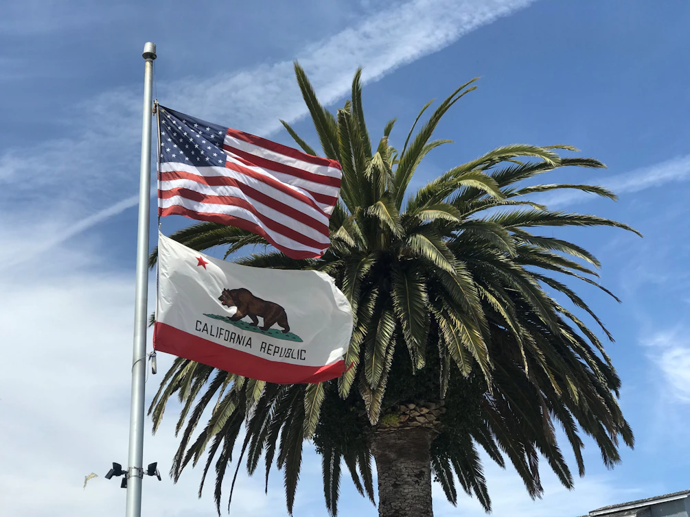 USA flag near tree