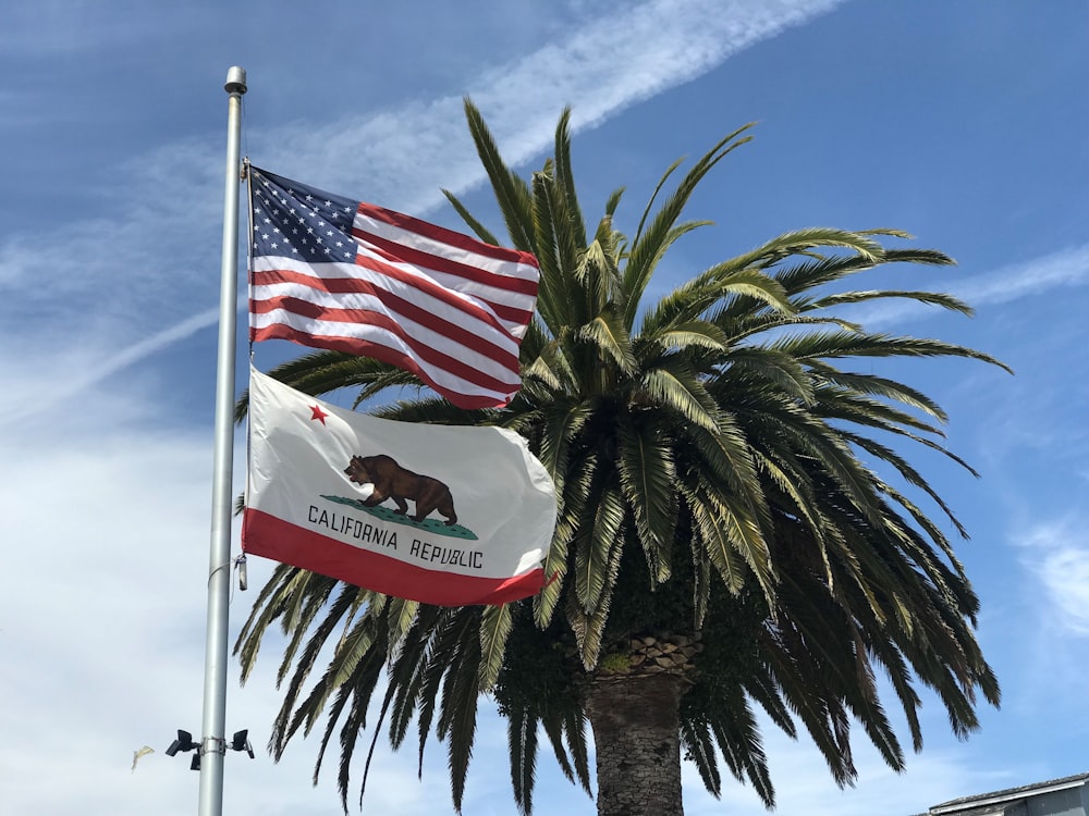 USA flag near tree