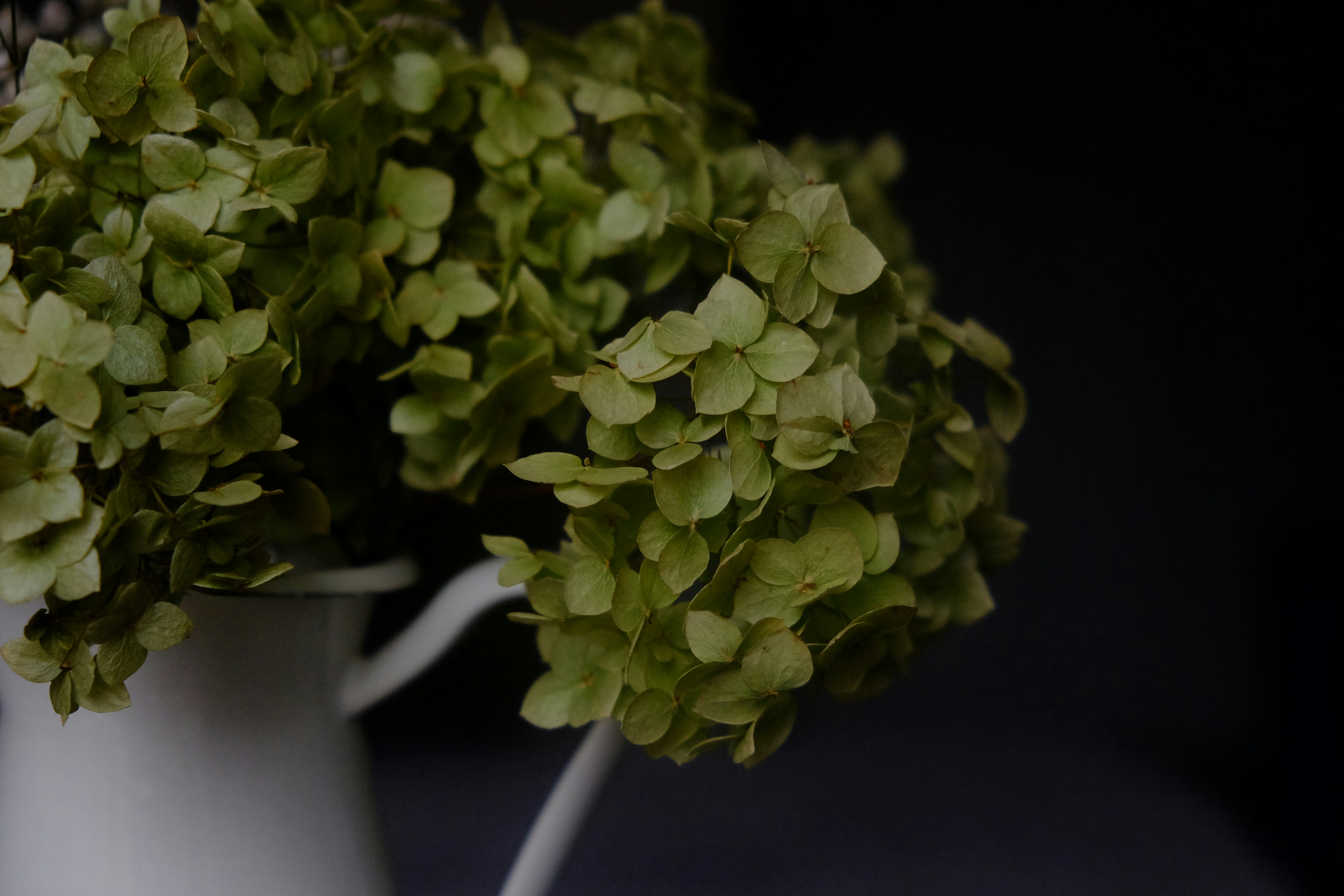 Photo by olhasumnikova