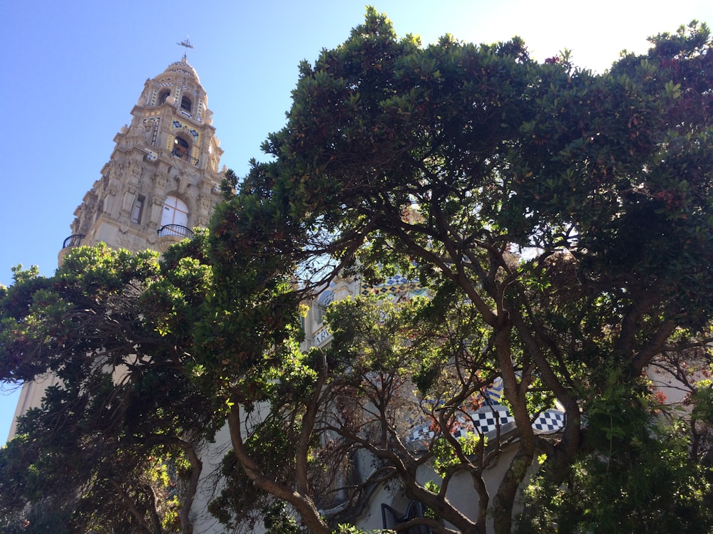 church near trees