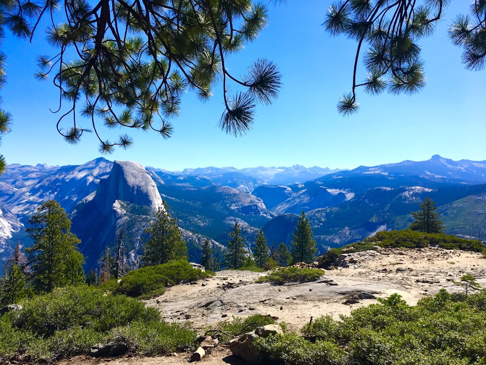 green trees across mountain during daytime