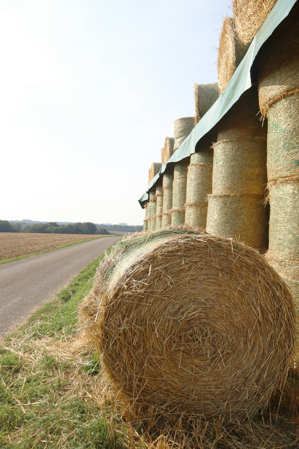 hay bale