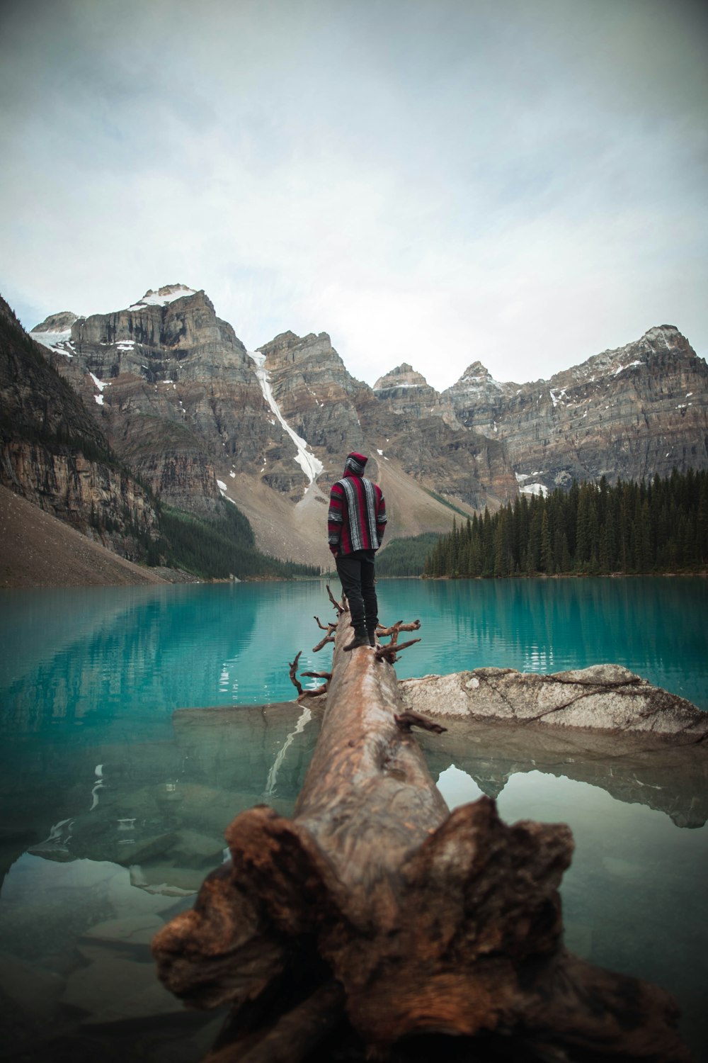 man standing on tree near body of water