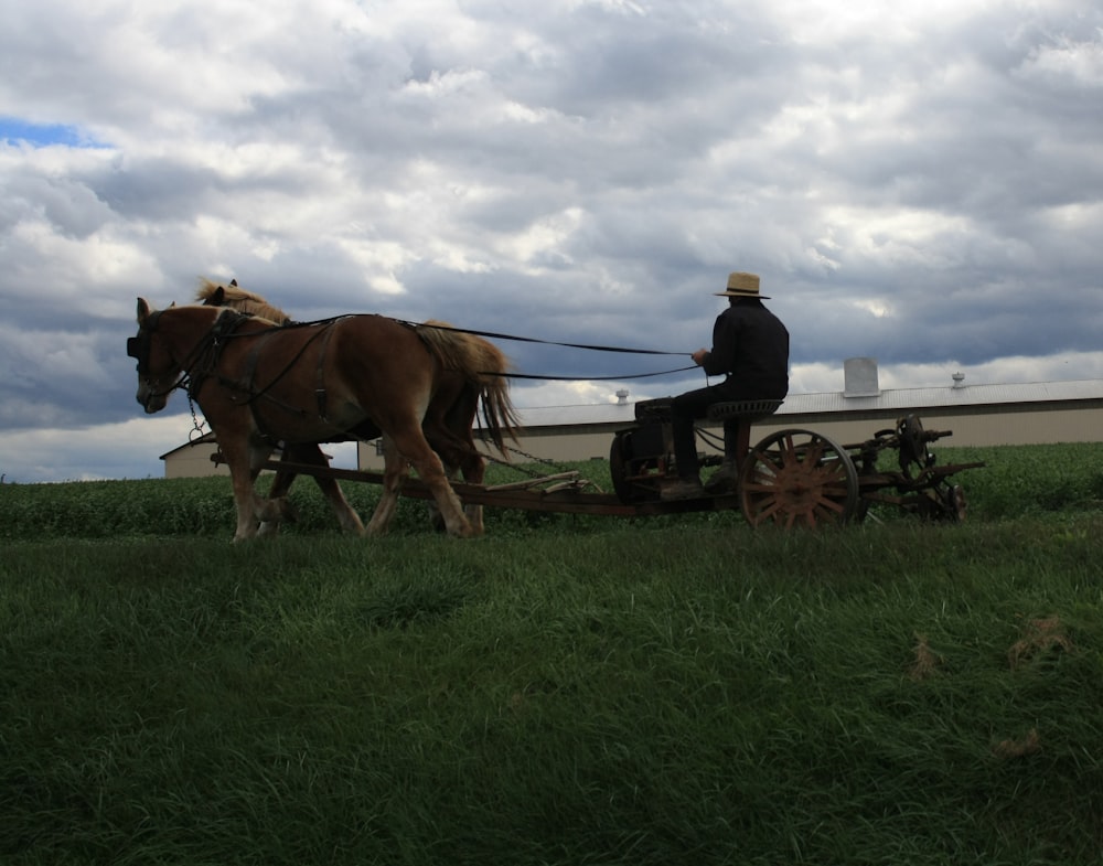 brown horses under clouds during daytime