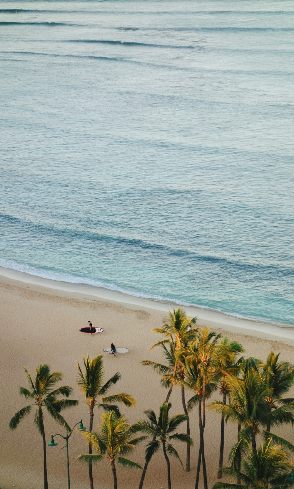 two person carrying surfboards while walking on sea shore