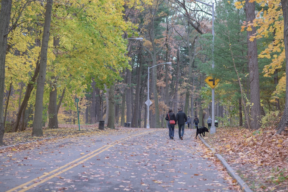 people walking on road at daytime