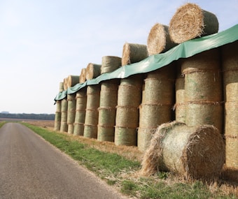 A large stack of round hay bales covered with a green tarp is situated next to a paved road. The bales are organized neatly in rows and there is a grassy area beside the road. The sky is clear, suggesting a bright day, and the surrounding landscape is rural and open.