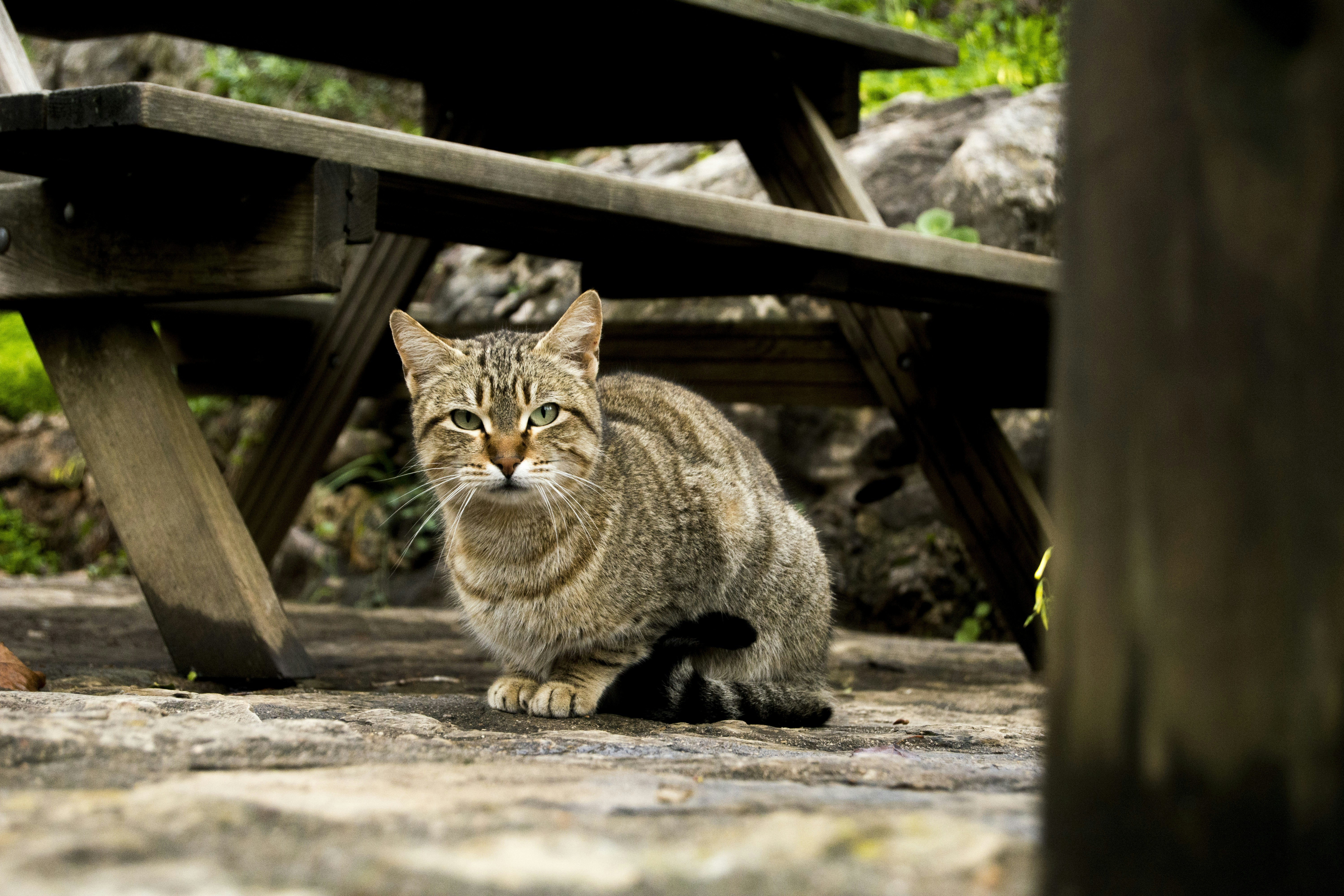 Photo by rubensantosartist