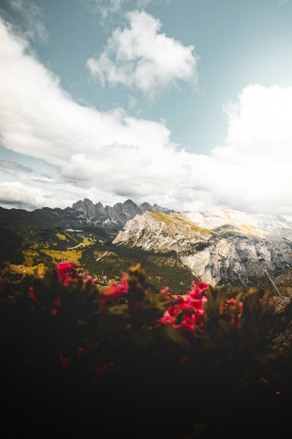 snow-covered mountain