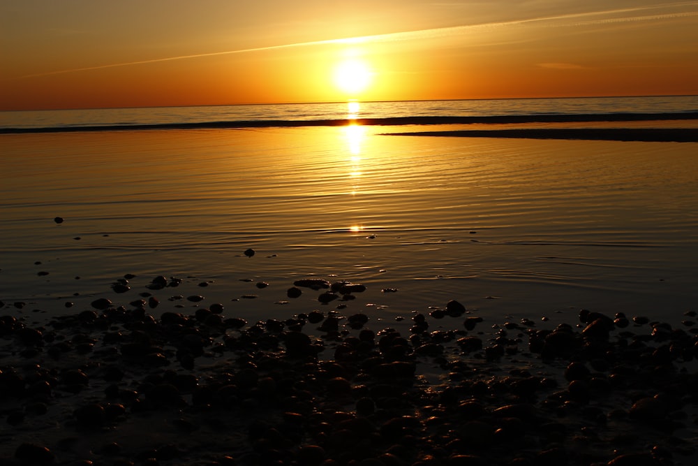 body of water and sun