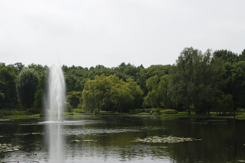 water fountain near trees