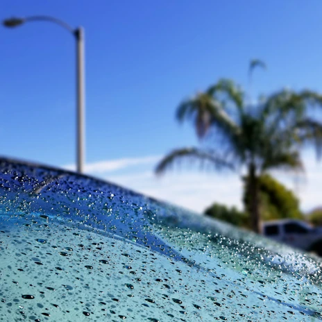 A sparkling clean windshield reflecting palm trees, freshly replaced on a family SUV parked outside a ClearVista service center.