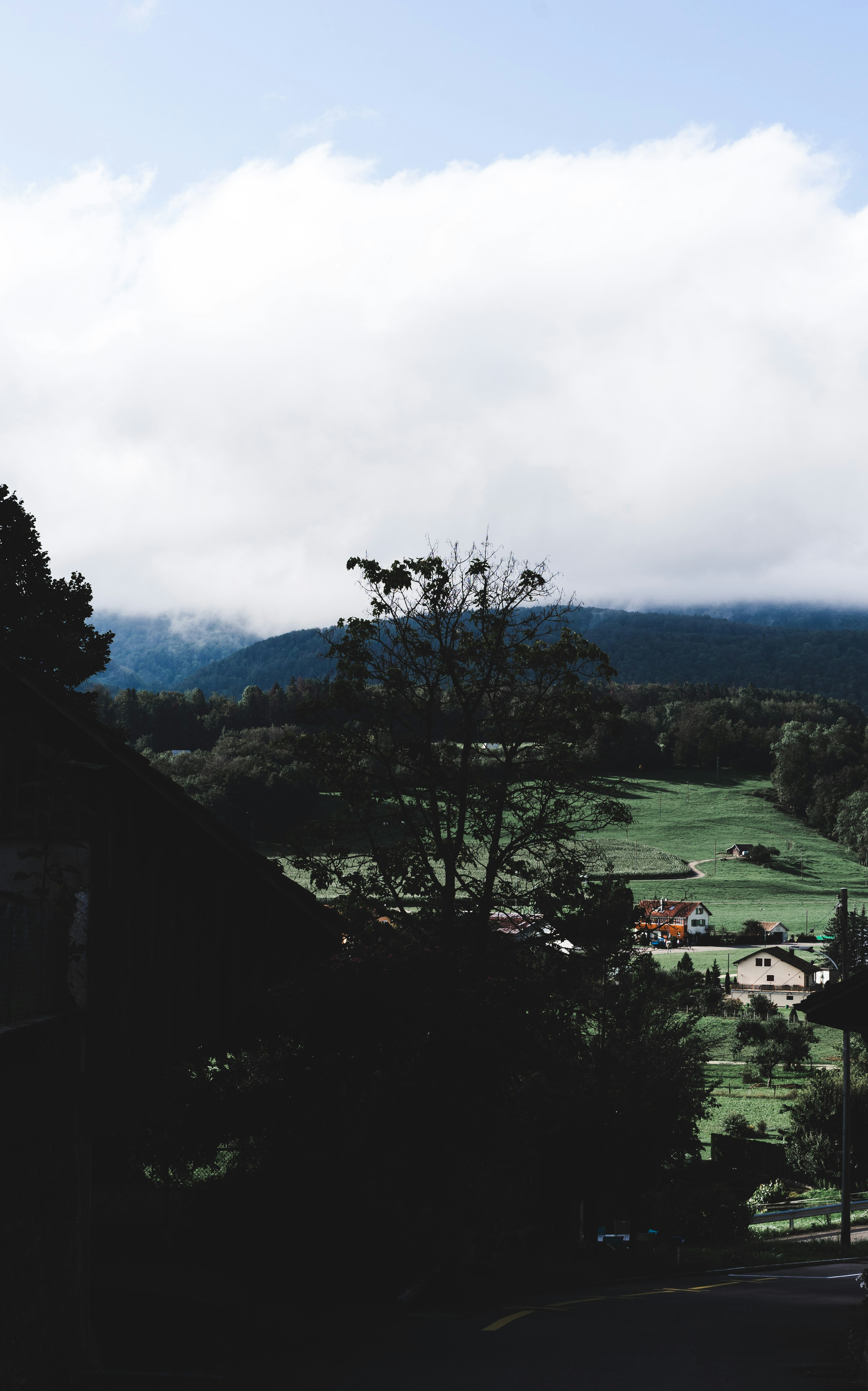 Photo by virussinside