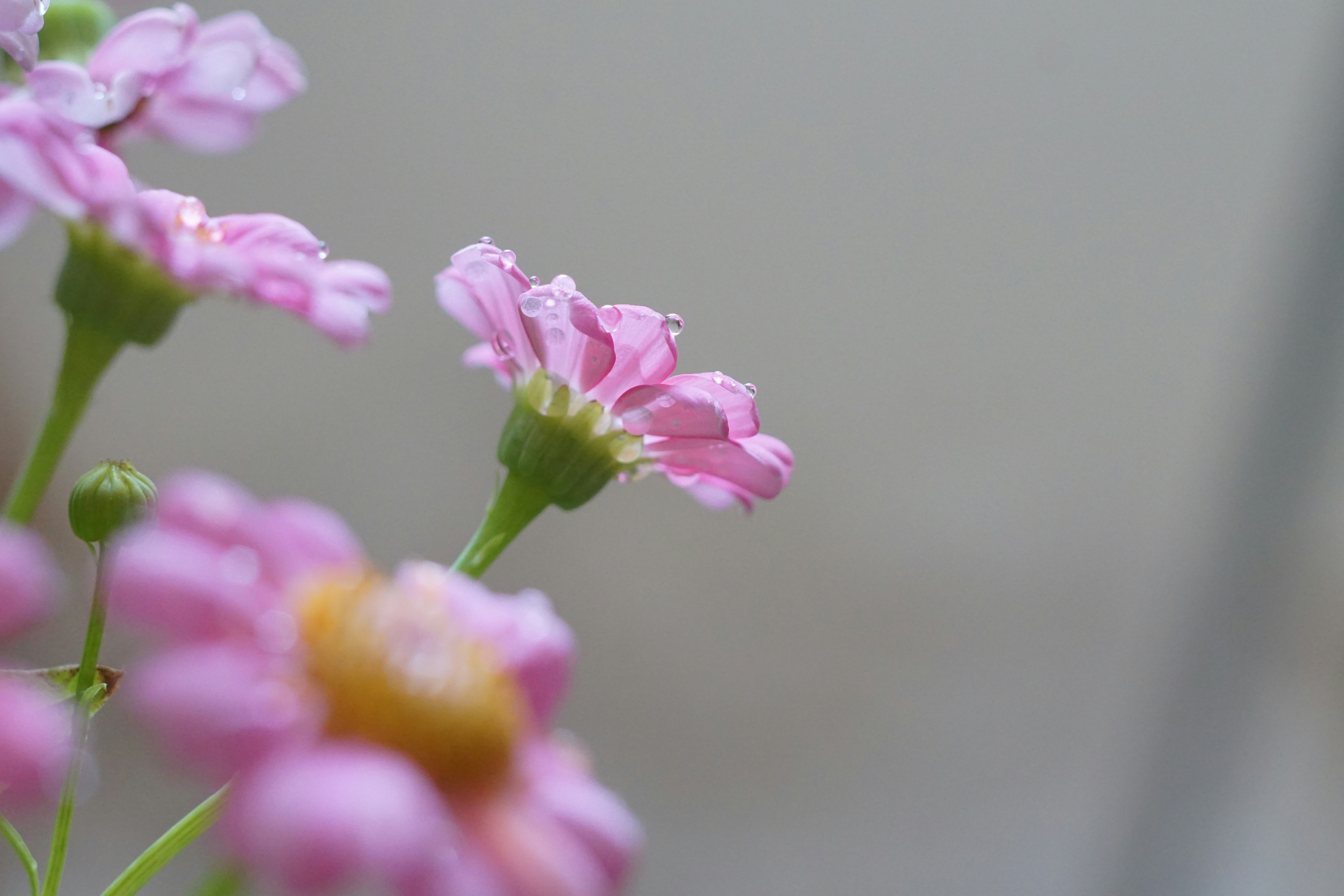 Photo by mojtabahoseini