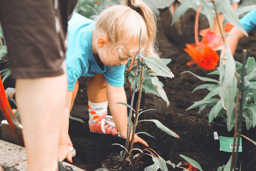 girl planting with green plant at daytime