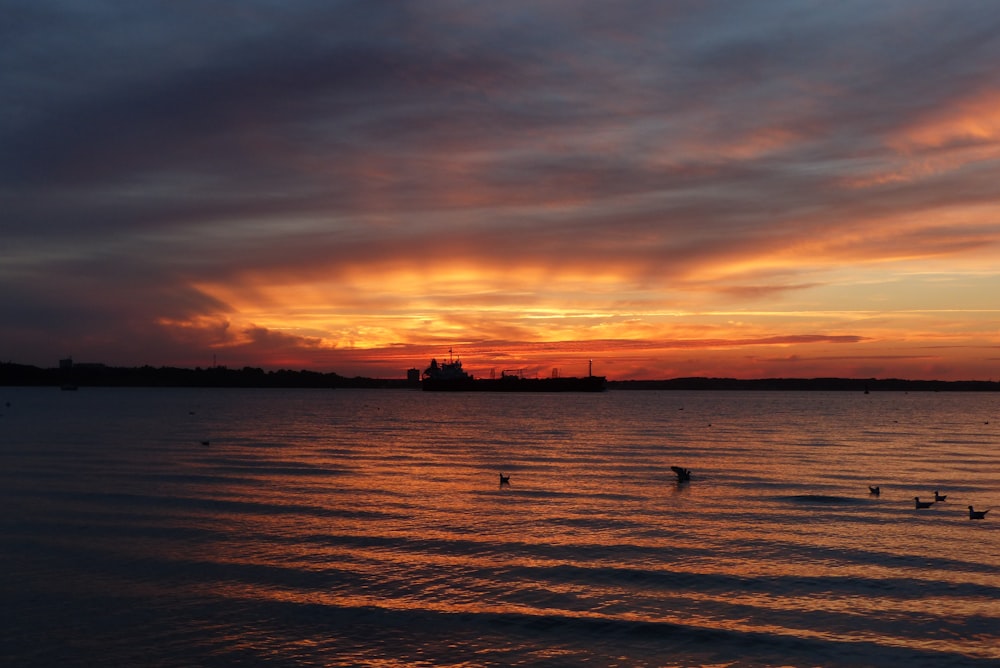 body of water during golden hour