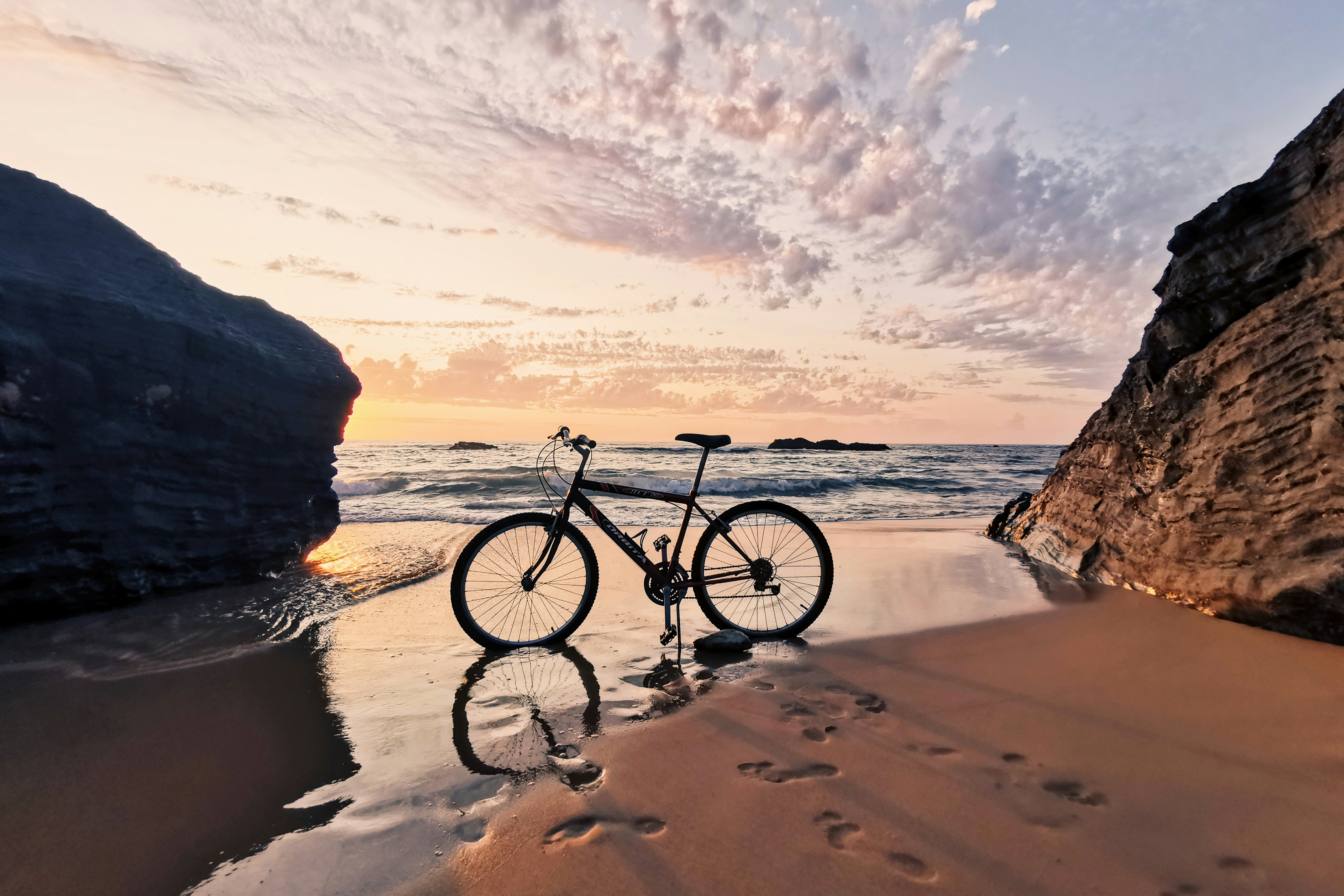 blue bicycle under tree during daytime photo u2013 Free 自転車 Image 