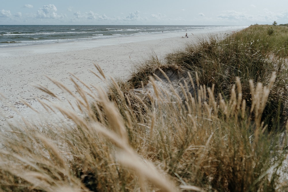 a sandy beach next to the ocean under a cloudy sky