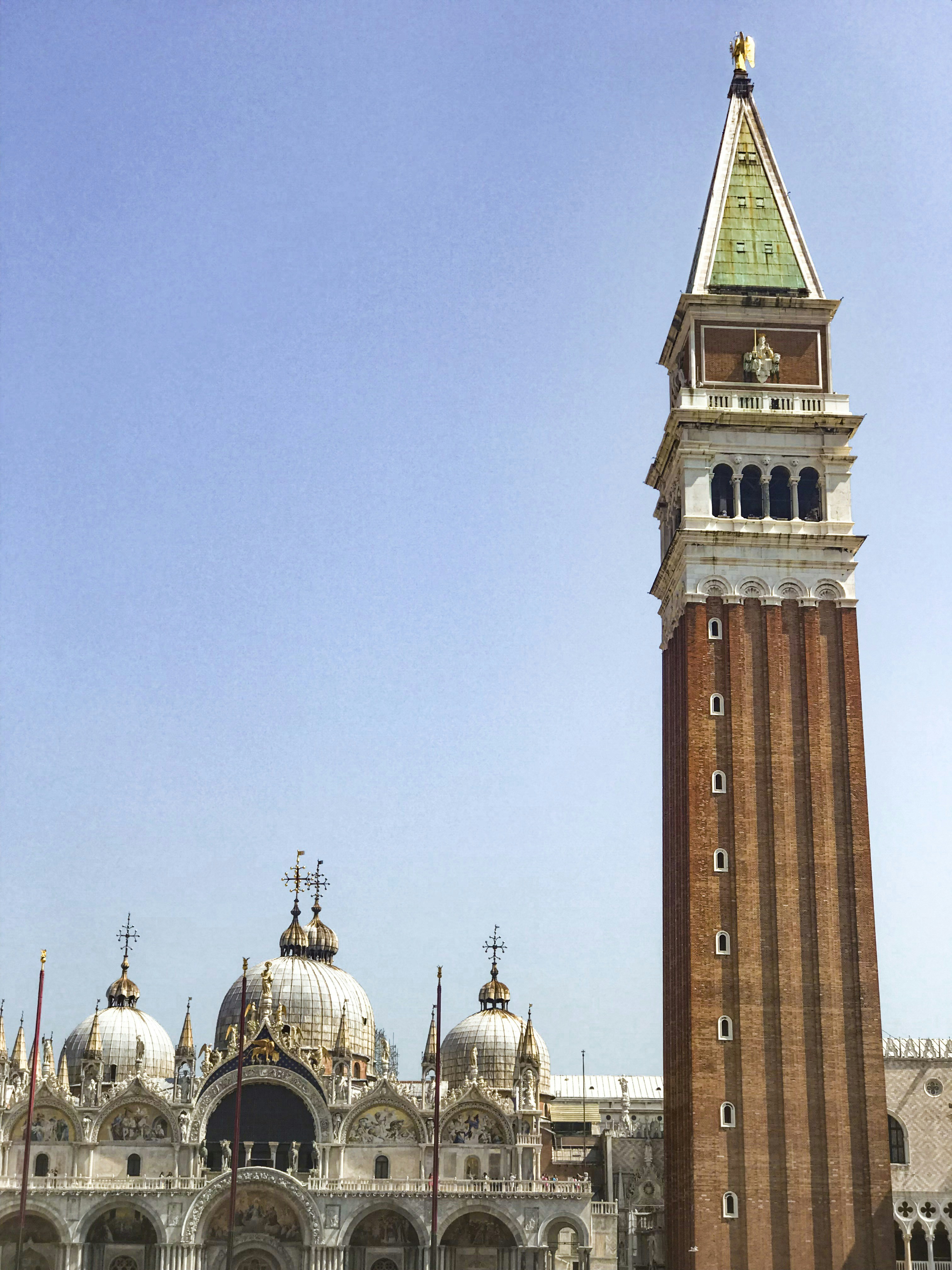 Définition de recroqueviller Dictionnaire français