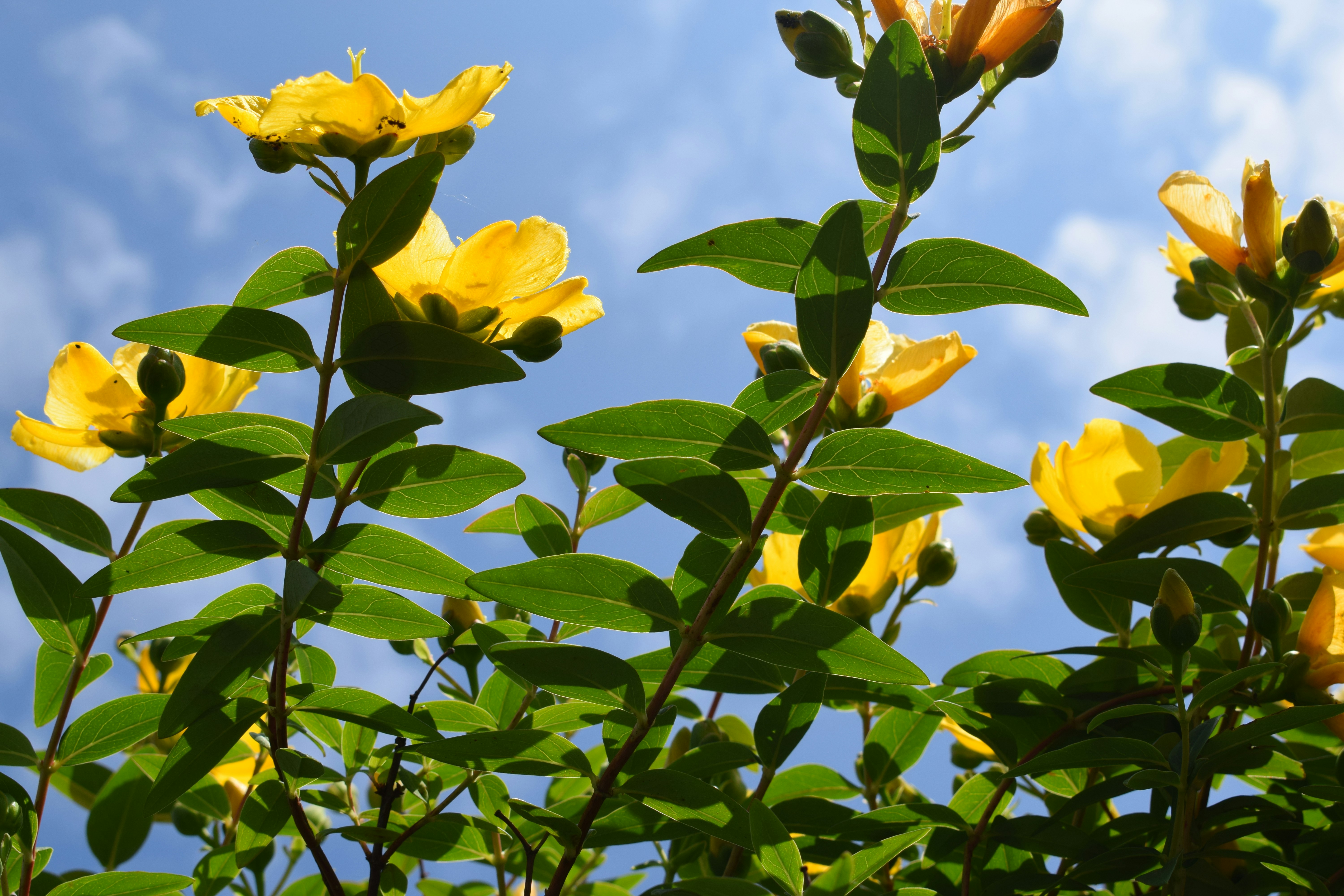 Photo by 4themorningshoot