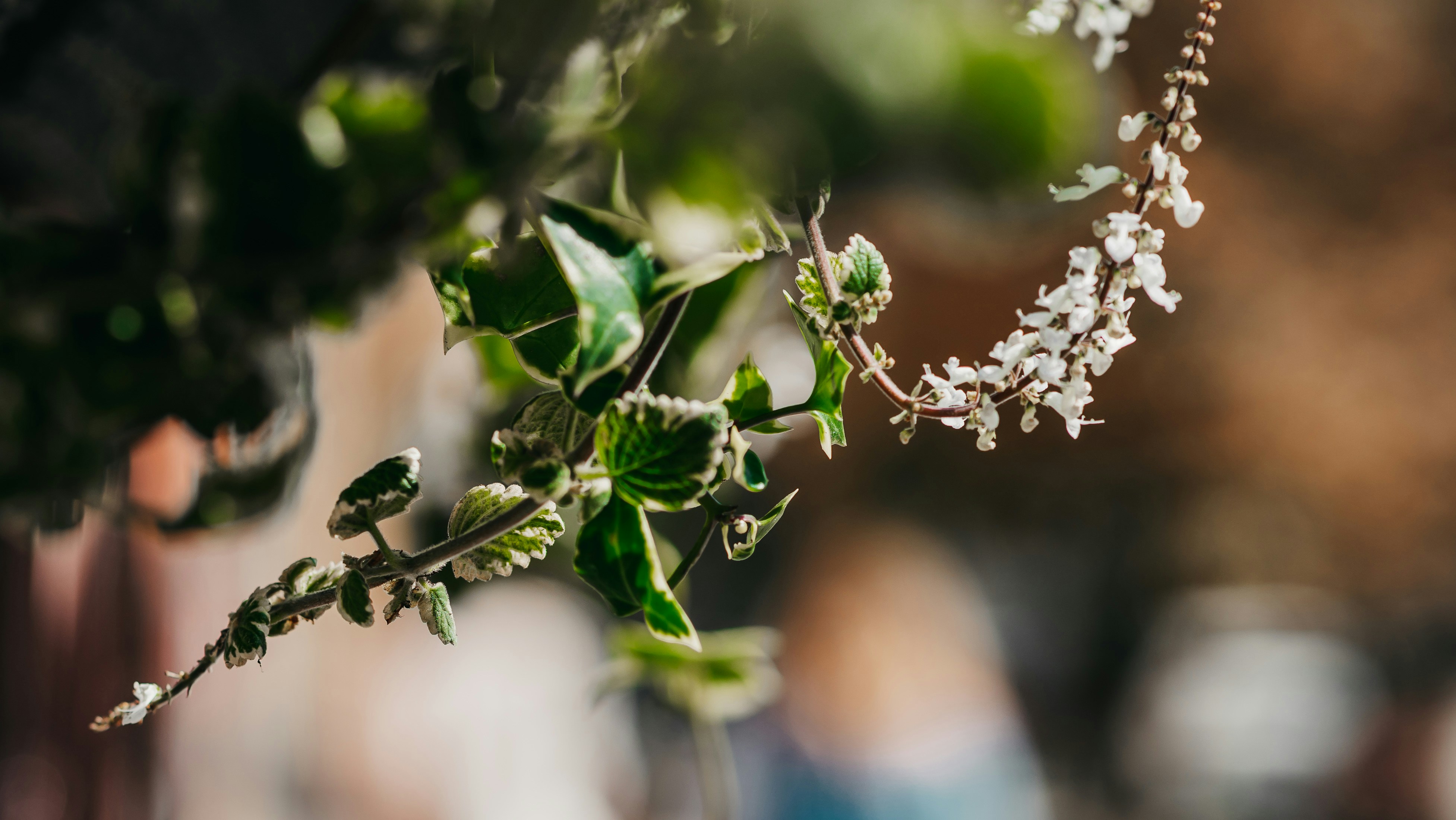 Photo by eugenechystiakov