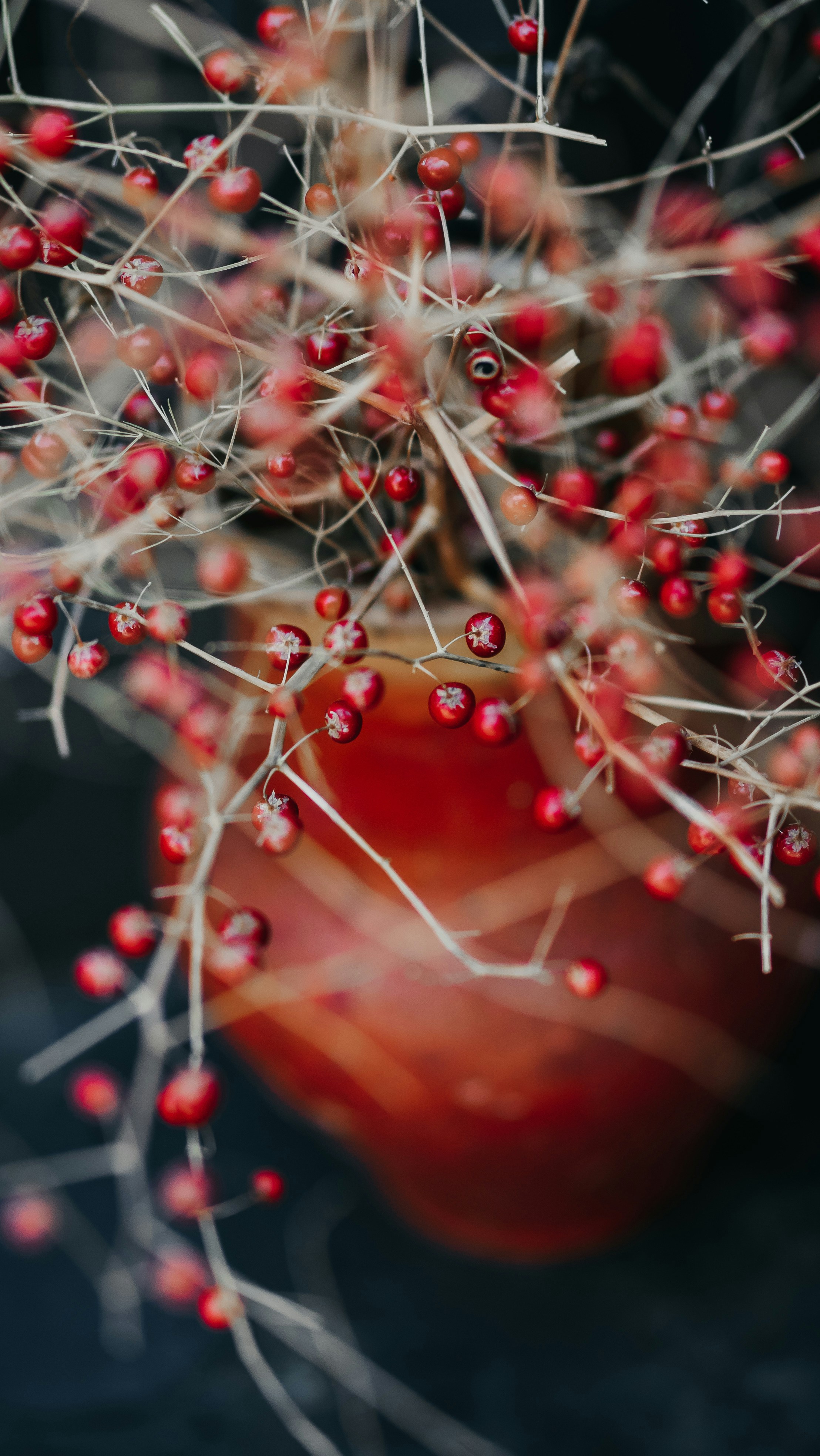 Photo by eugenechystiakov