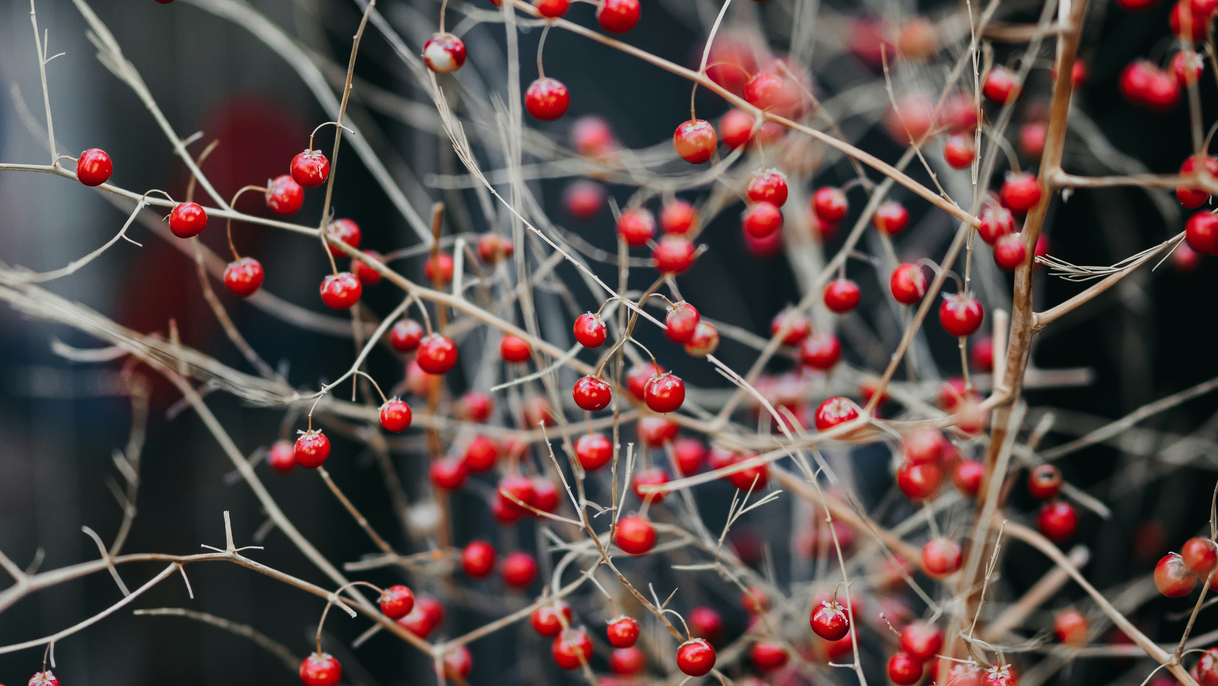 Photo by eugenechystiakov