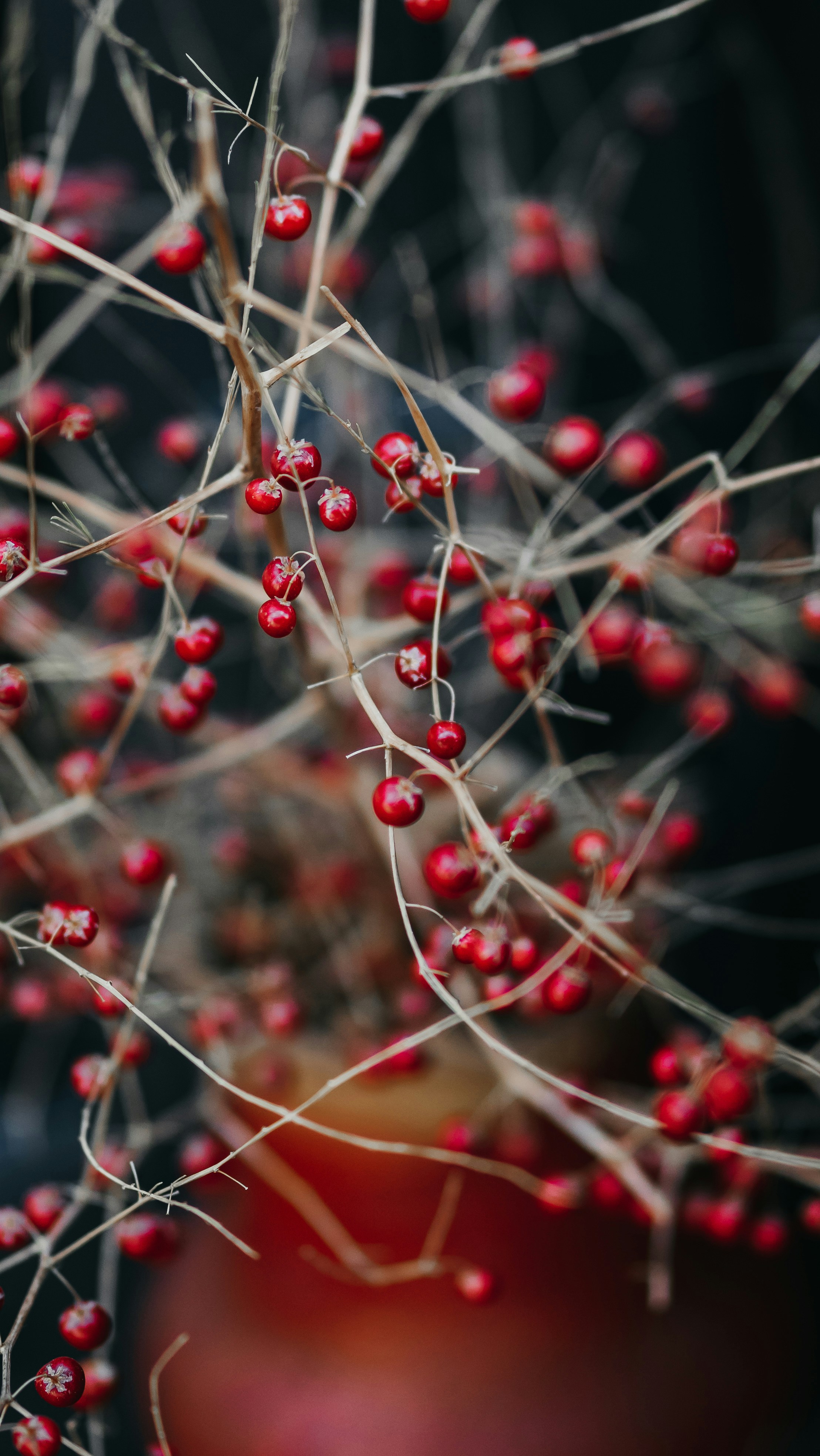 Photo by eugenechystiakov