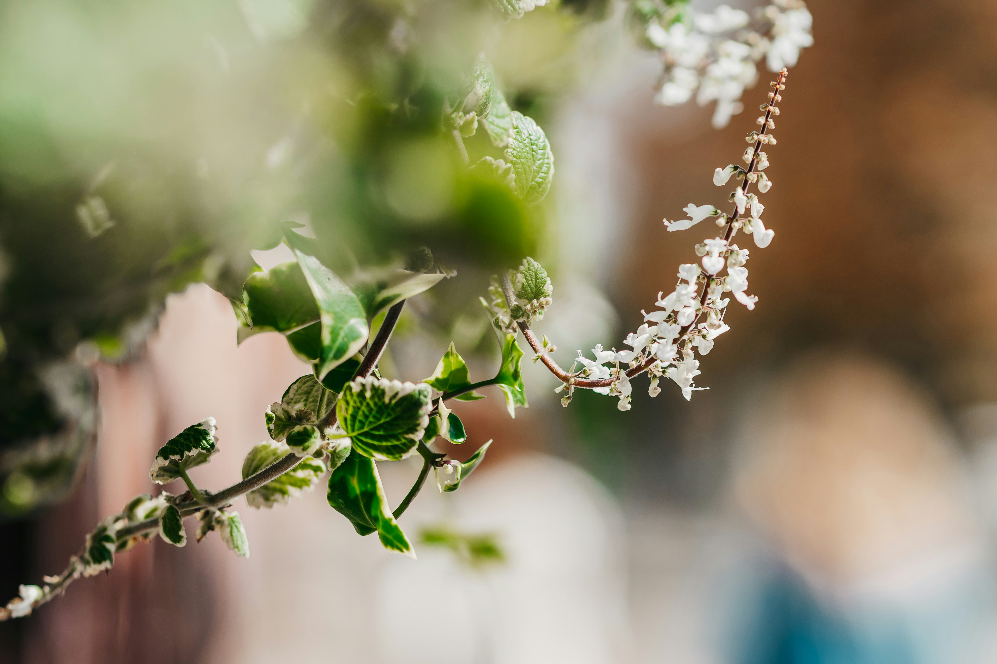 Photo by eugenechystiakov