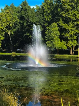 water fountain near green trees during daytime