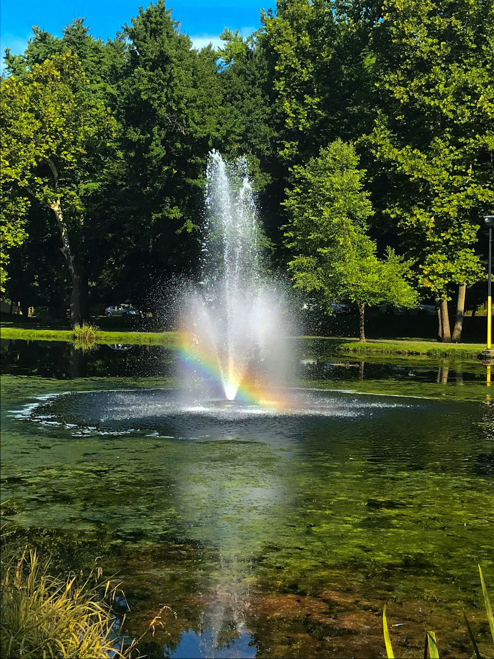 water fountain near green trees during daytime