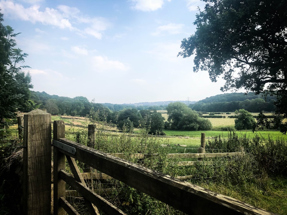 brown wooden fence near trees