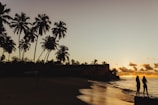 silhouette of two person on seashore during golden hour