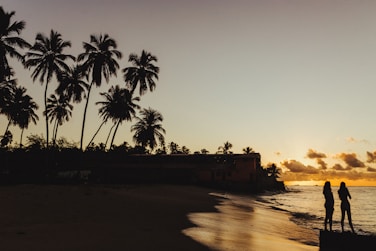silhouette of two person on seashore during golden hour