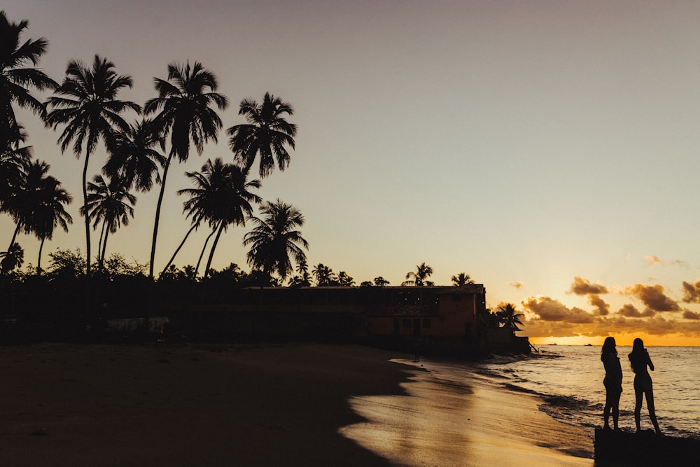 silhouette of two person on seashore during golden hour