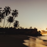 silhouette of two person on seashore during golden hour