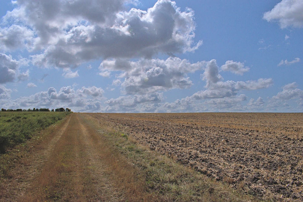 champ ouvert sous ciel bleu