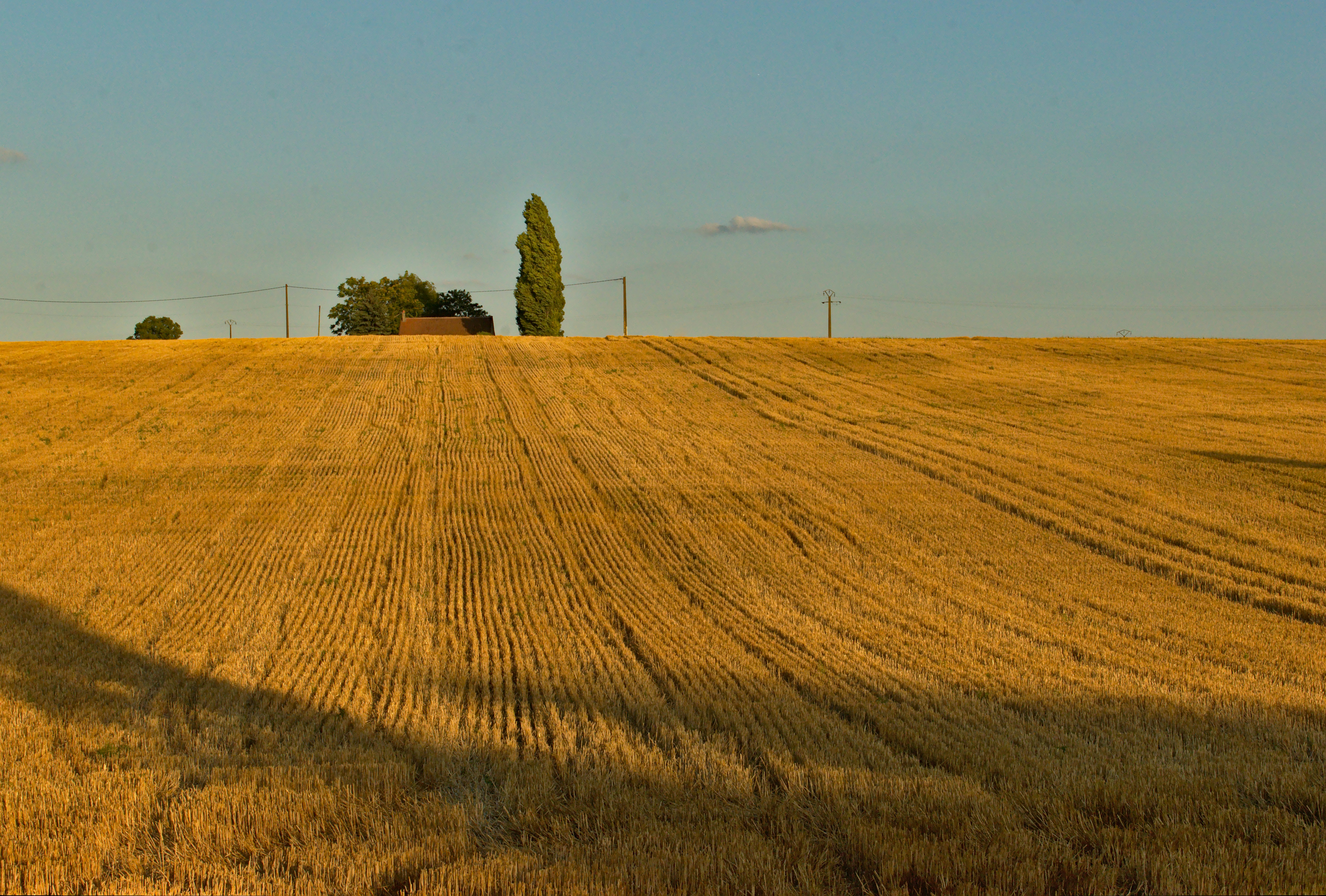 Photo by martin_sepion