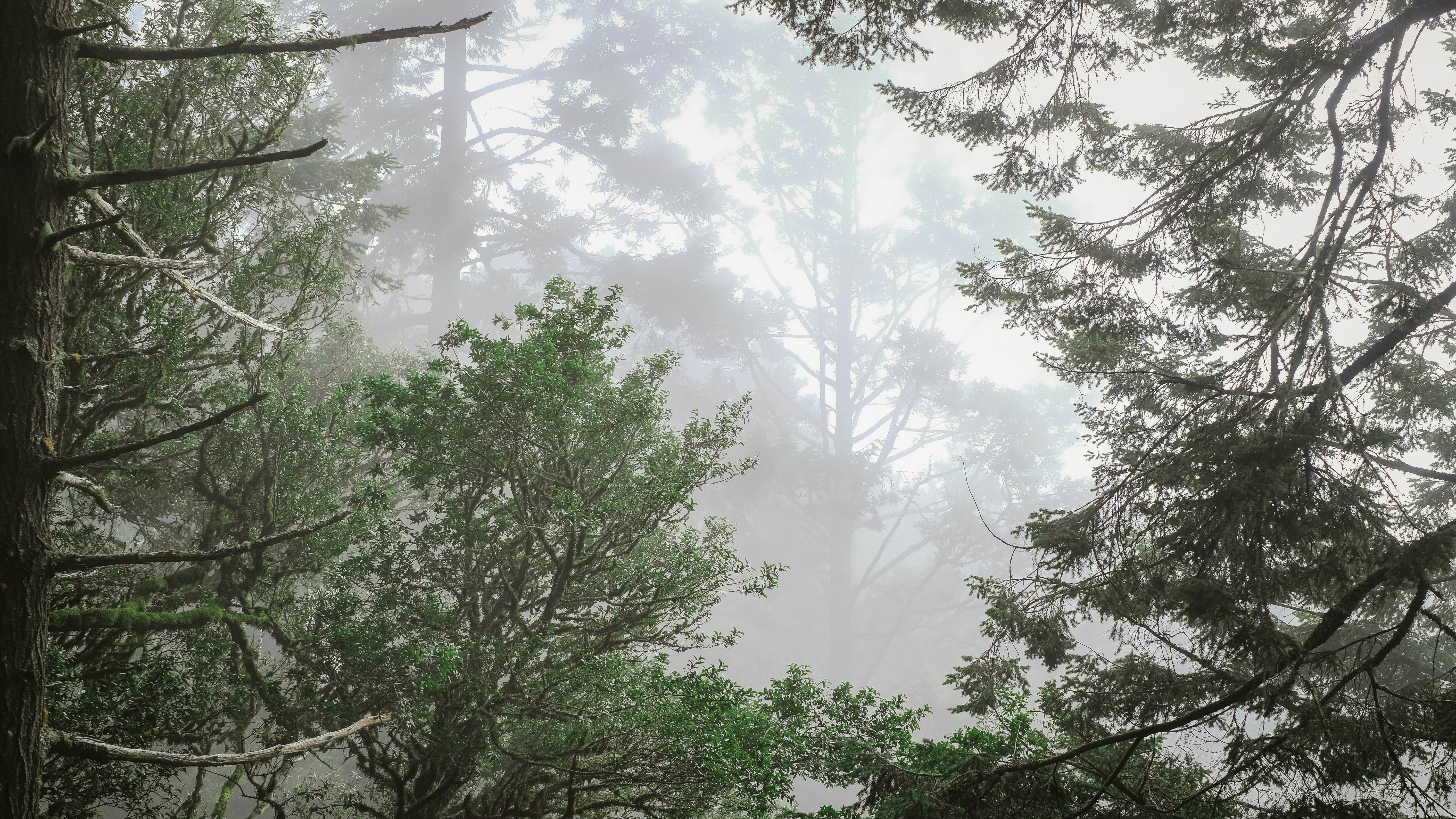 Photo by cys_escapes