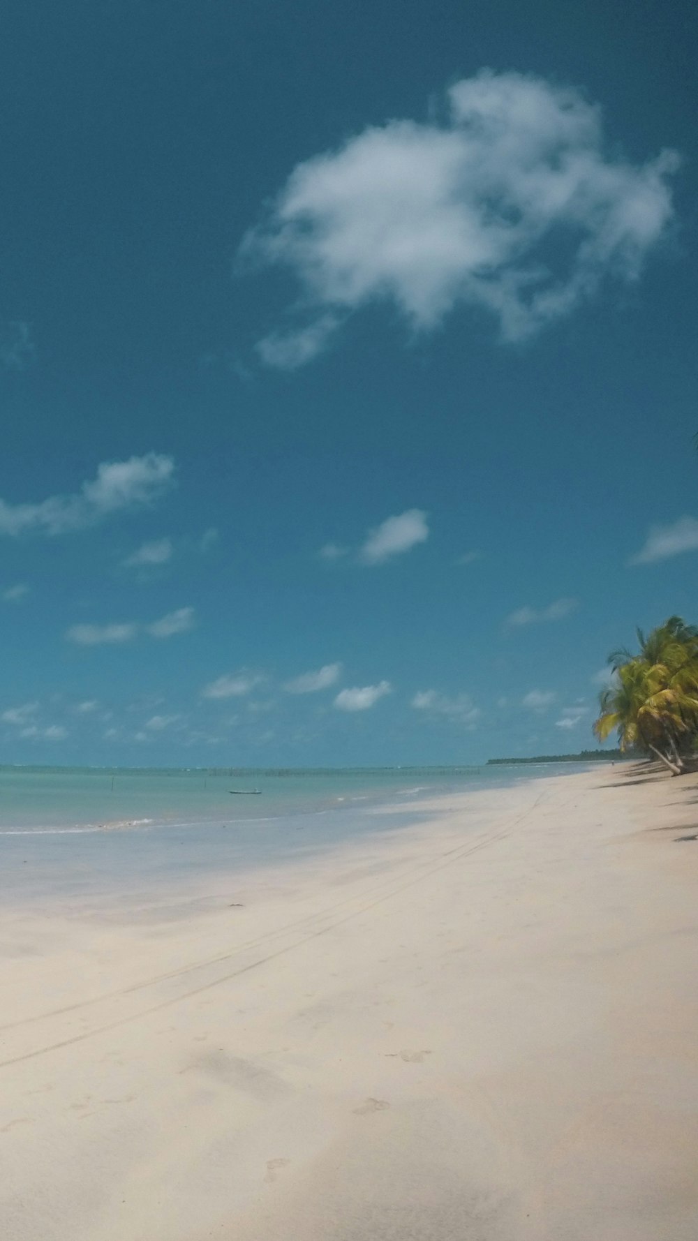 seashore under blue sky