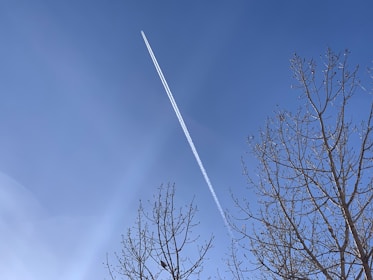 A clear blue sky is intersected by the contrail of an airplane that cuts diagonally across the image. Bare tree branches frame the scene at the lower right and left corners, adding a touch of nature to the otherwise vast sky.