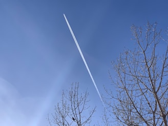 A clear blue sky is intersected by the contrail of an airplane that cuts diagonally across the image. Bare tree branches frame the scene at the lower right and left corners, adding a touch of nature to the otherwise vast sky.