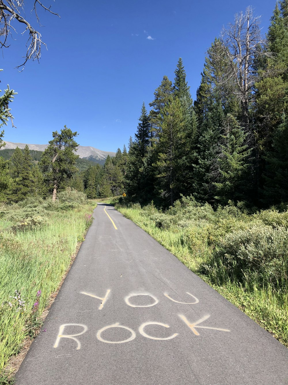 gray concrete road with you rock print near green field surrounded with tall and green trees during daytime