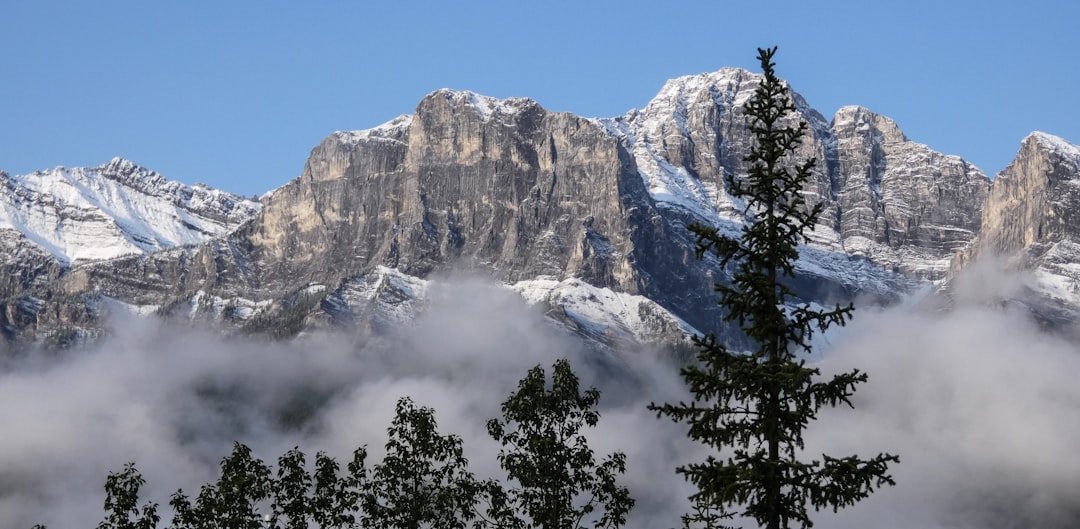 August Snowfall