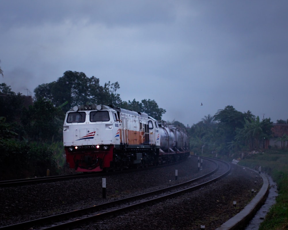 white and black train engine near green-leafed trees